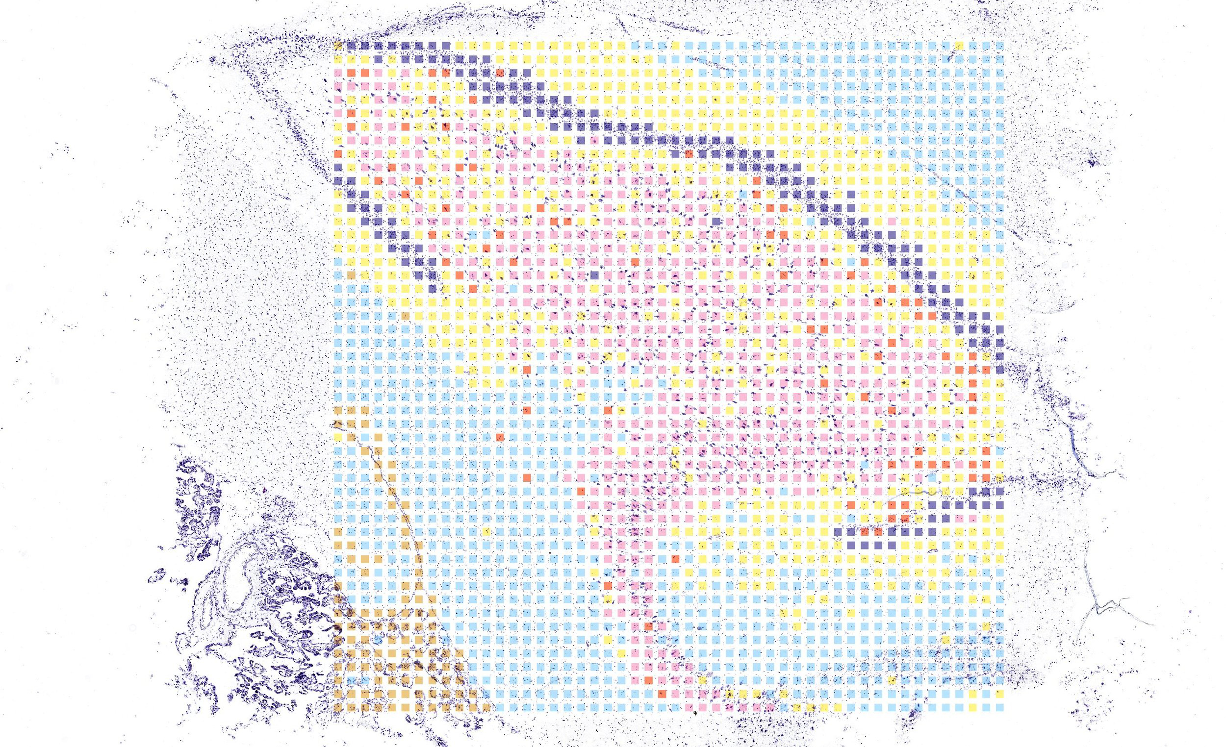 CTRL_4_w_UMAP.jpg