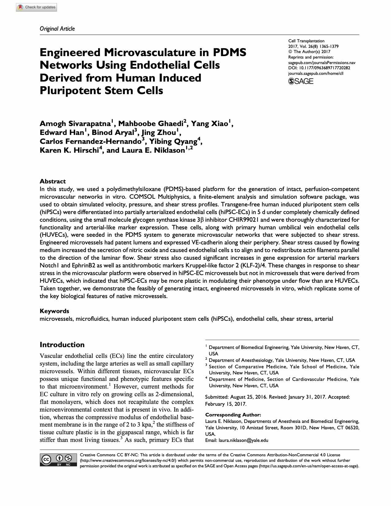 Publication_2_2017_Cell_Transplantation.jpeg