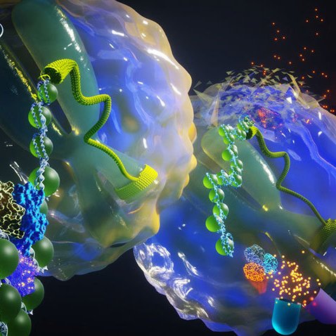 /static/apps/cms/news/1214/Cells-Microscopic-3D-Render-Particles-500x500.jpg