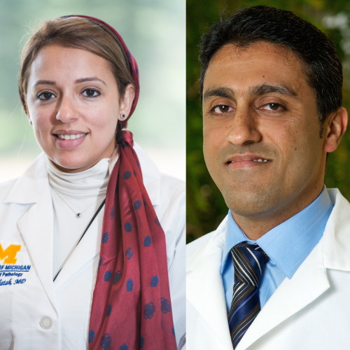 Department of Pathology - AP-funded Grant Leads to Human Pathology ...