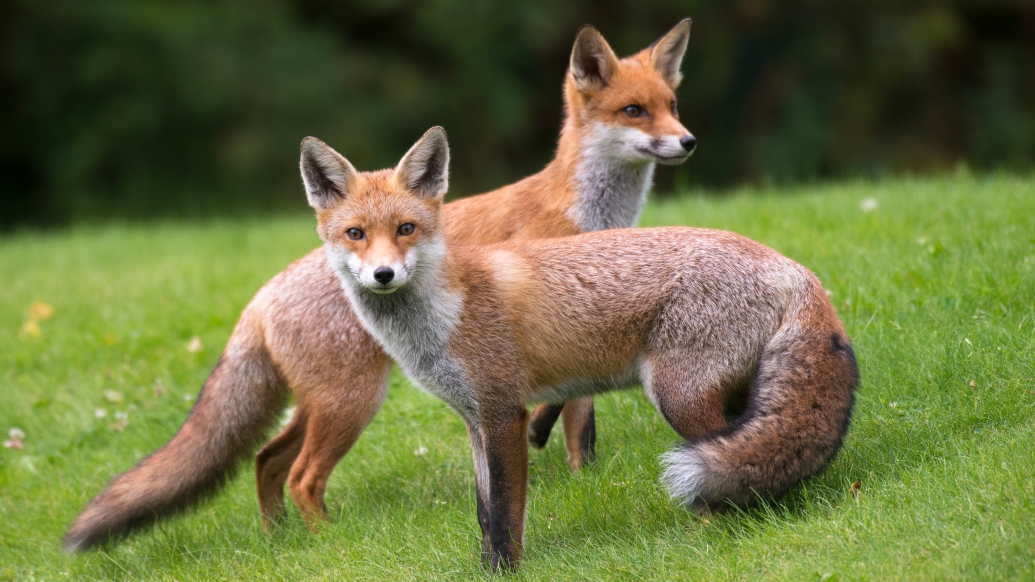 Photo Credit: Getty Images