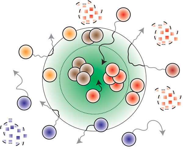 This model depicts that different types of RNAs (small circles of different colors) interact with gene-regulatory processing bodies (large green circle) via unique mechanisms.   Color scheme: Green-P-bodies, brown-microRNAs, red-translationally repressed mRNAs, orange-long non-coding RNAs and blue-highly translated mRNAs. Black and grey lines depict dynamics inside and outside P-bodies respectively.